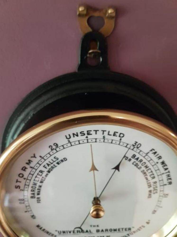 Superb Victorian Universal Horticulturalists Barometer - Image 3