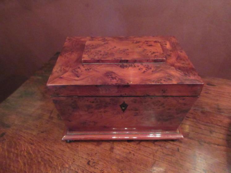 Regency Period Burr Yew Tea Caddy - Image 1