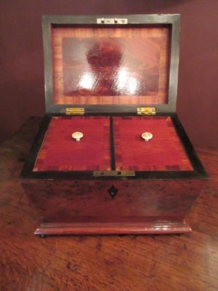 Regency Period Burr Yew Tea Caddy - Image 3