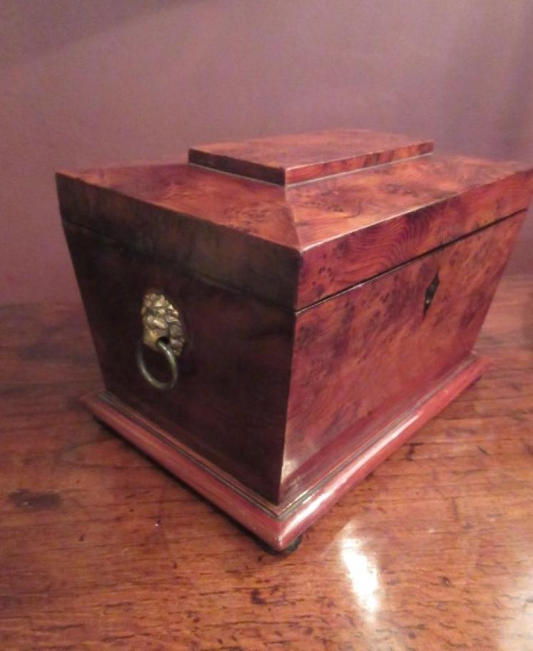 Regency Period Burr Yew Tea Caddy - Image 4