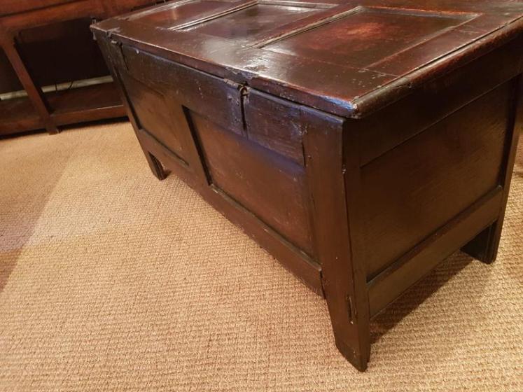 Antique George II Period Oak Panelled Coffer - Image 3