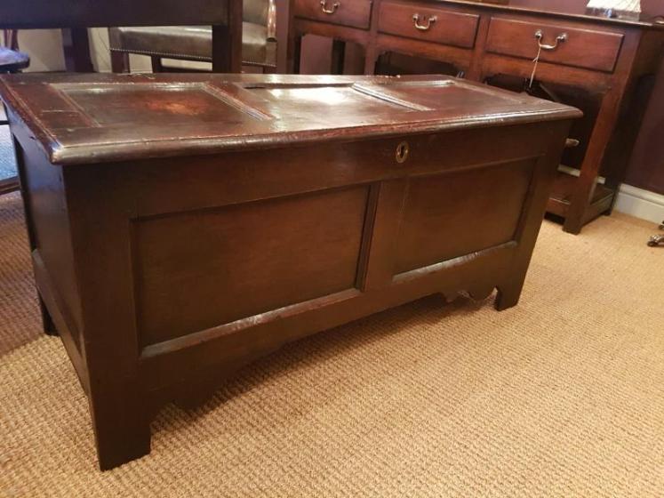 Antique George II Period Oak Panelled Coffer - Image 4