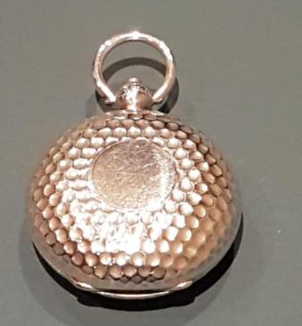 Silver Golf Ball Novelty Sovereign Case