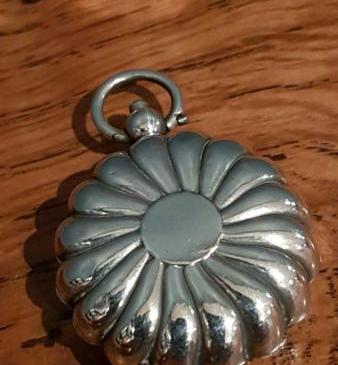 George V Silver Clam Shell Sovereign Case