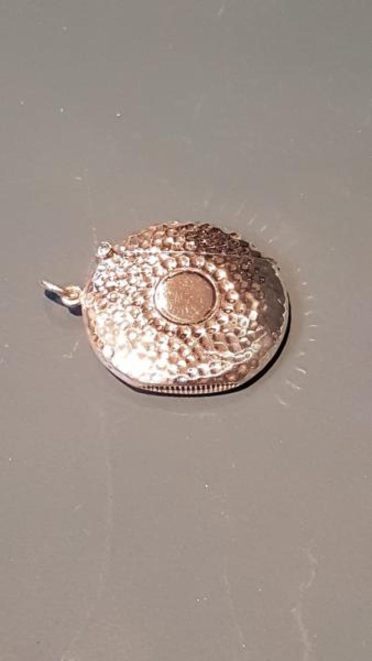 Immaculate Silver Golf Ball Vesta Case - Image 6