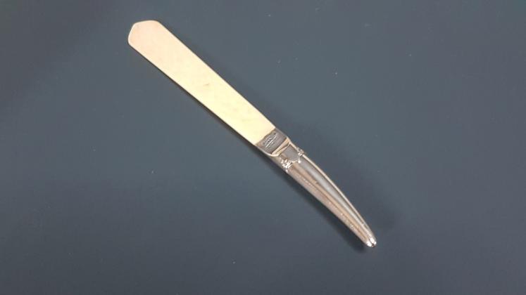 Victorian Silver And Bone Page Turner - Image 2