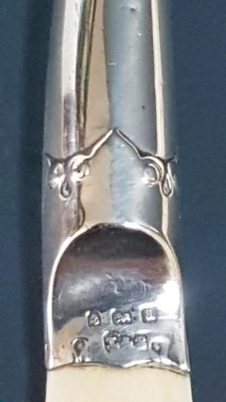 Victorian Silver And Bone Page Turner - Image 4