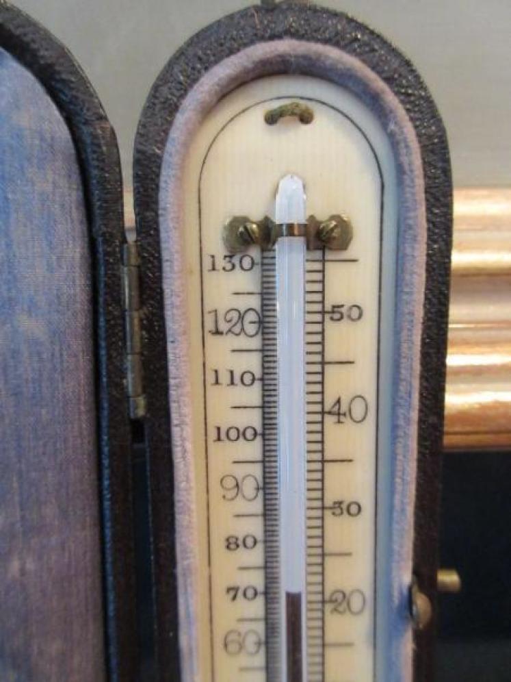 Antique Bone Scale Pocket Thermometer - Image 3