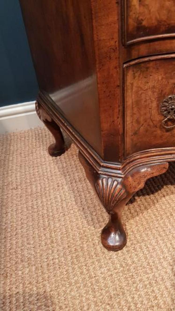 Fine 19th Century Burr Walnut Tallboy - Image 4