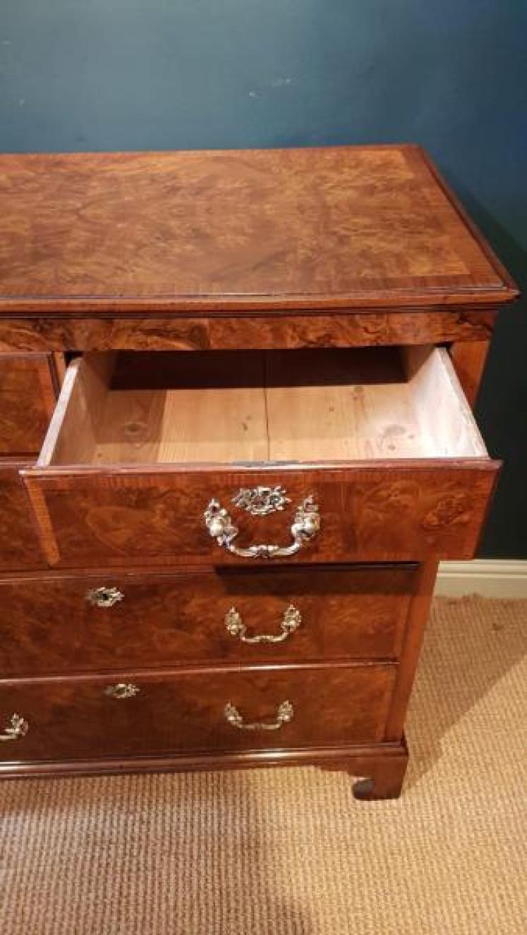 Superb Quality Victorian Burr Walnut Chest of Drawers - Image 4
