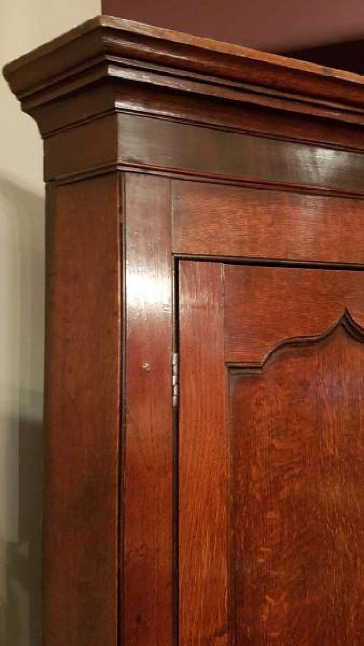 Impressive George III Oak Floor Standing Corner Cupboard - Image 4