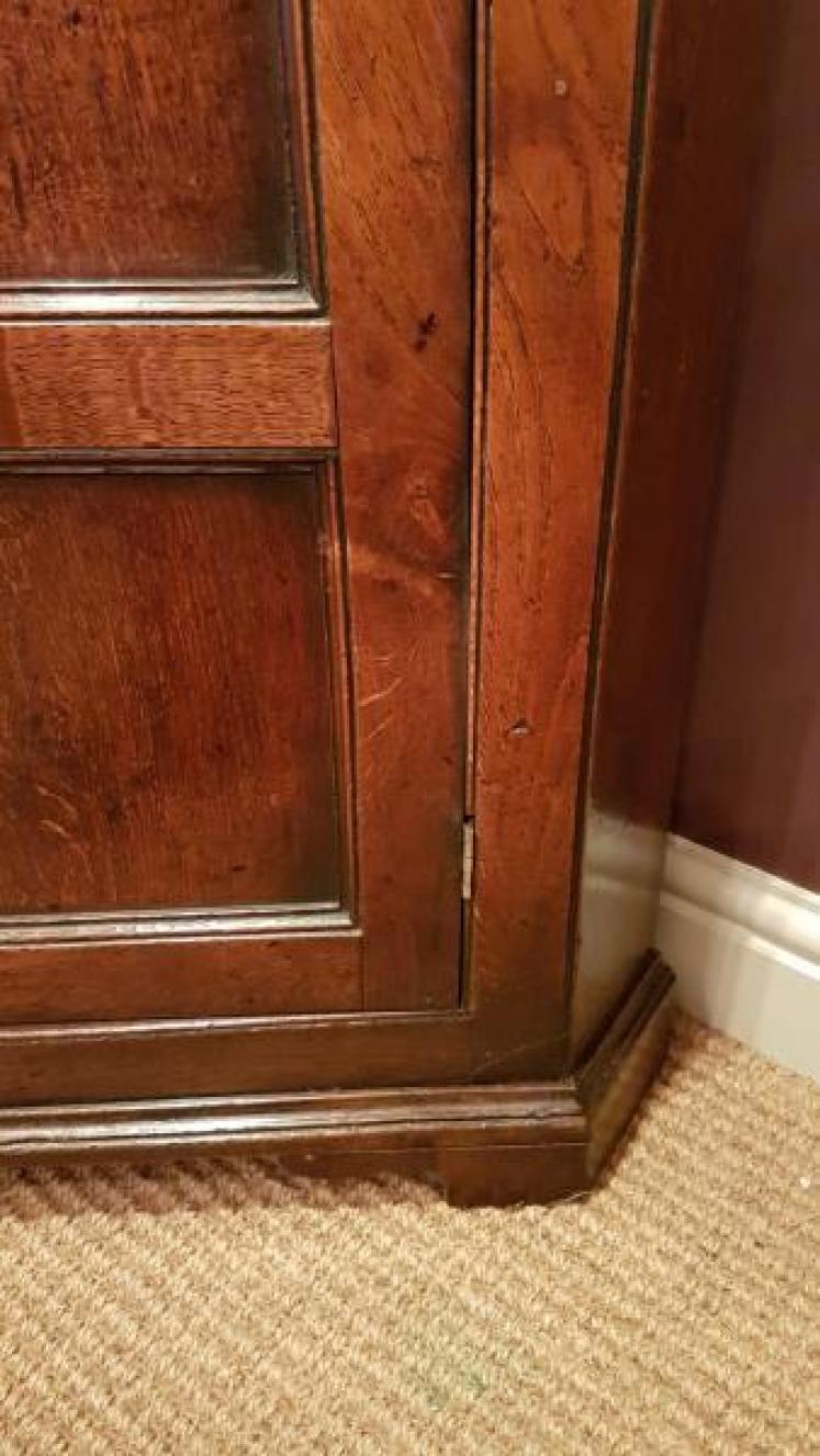 Impressive George III Oak Floor Standing Corner Cupboard - Image 5