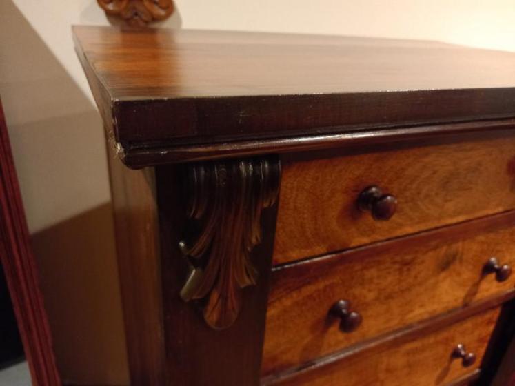 Early Victorian Rosewood Wellington Chest - Image 4