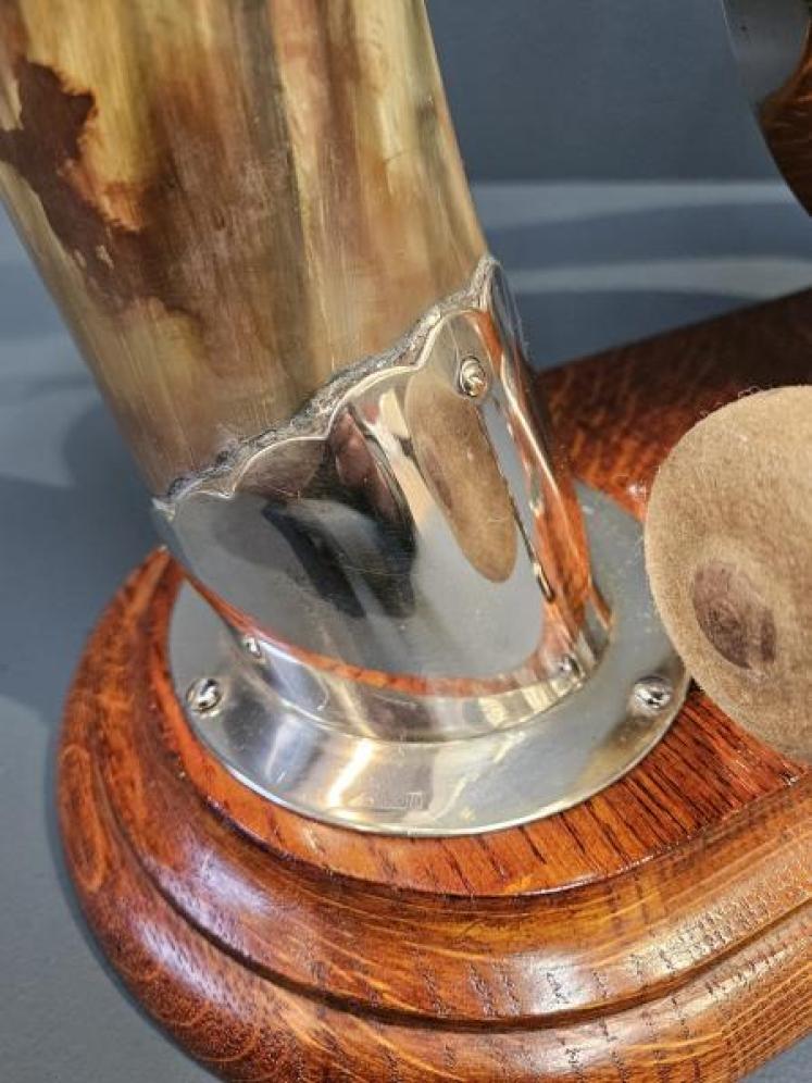 Mid Victorian Highland Cattle Horn Dinner Gong - Image 3