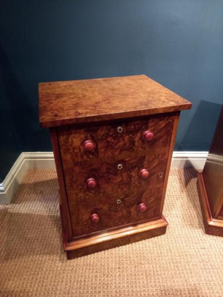Pair of Victorian Burr Walnut Bedside Cabinets - Image 6