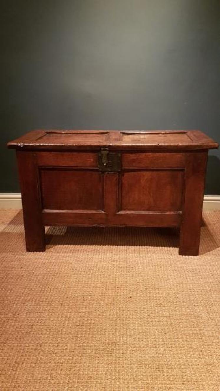 Small Period Oak Two Panel Coffer - Image 6