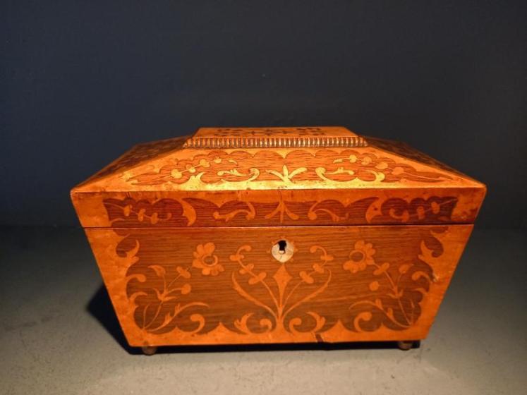 Fine Regency Rosewood & Satinwood Inlaid Tea Caddy - Image 1