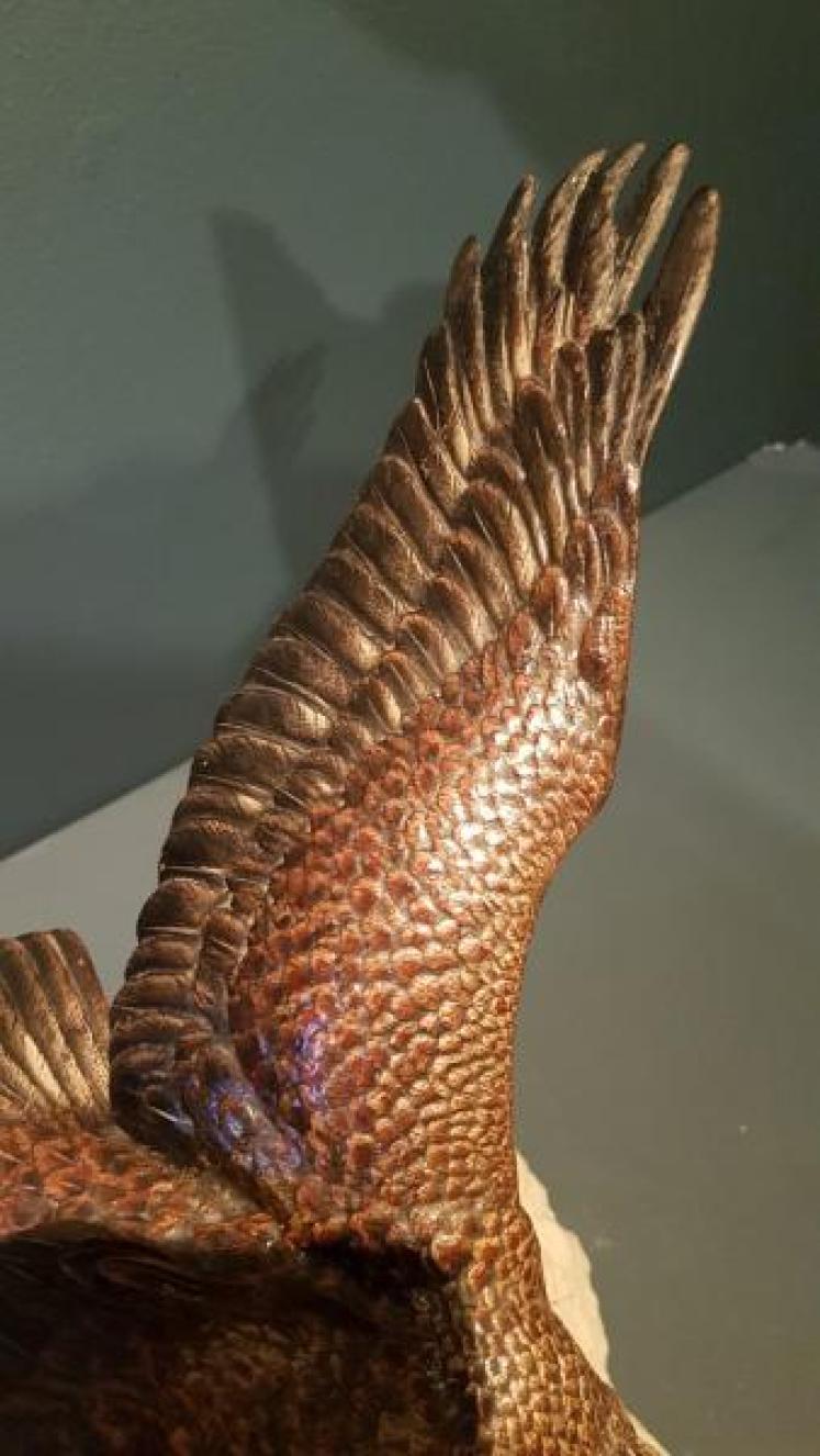 Late 19th Century Austrian Cold Painted Bronze Eagle - Image 5