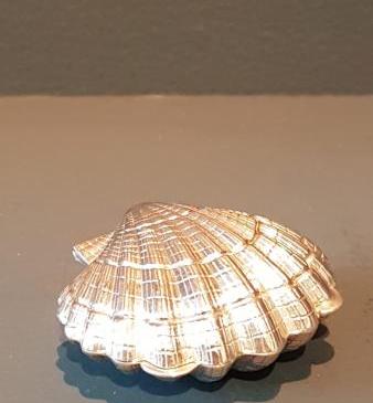 Silver Shell Pill Box