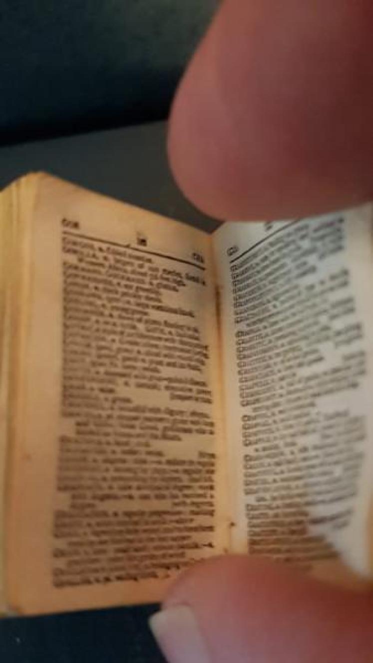 Rare Victorian Miniature Silver Cased Dictionary - Image 6