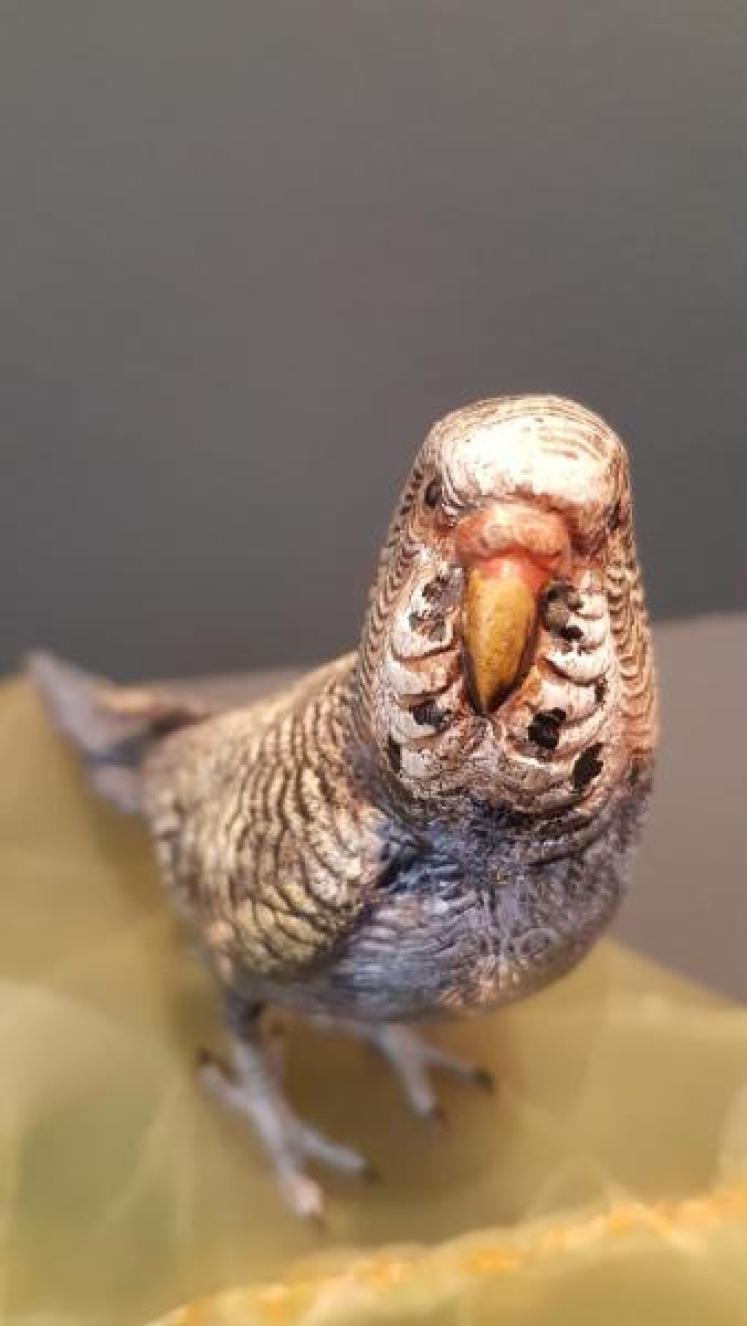 Cold Painted Bronze Budgerigar Desk Tidy - Image 3
