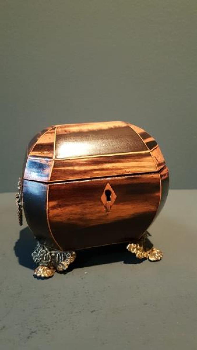 Unusual Regency Minature Tea Caddy - Image 1