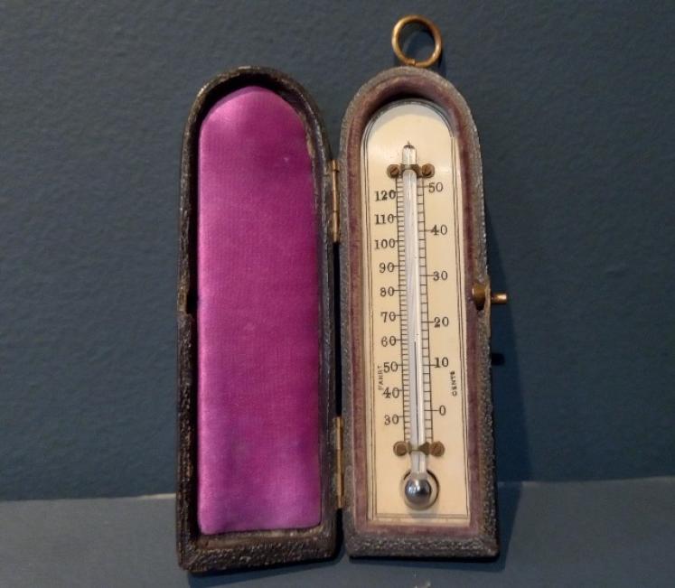 Antique Bone Scale Pocket Thermometer - Image 7