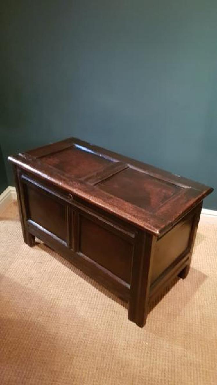 Period Oak Two Panel Coffer - Image 4