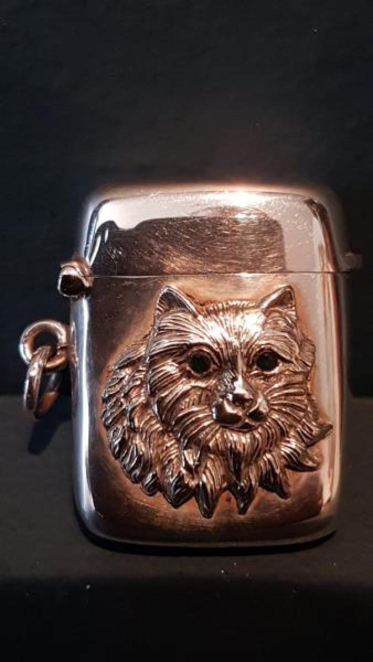 Edwardian Silver Cat Motif Vesta Case - Image 1