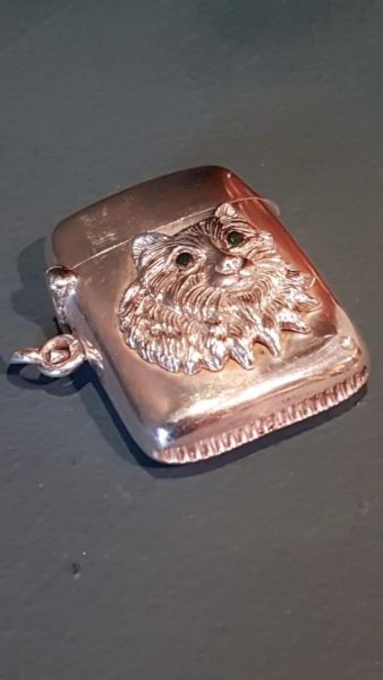 Edwardian Silver Cat Motif Vesta Case - Image 2