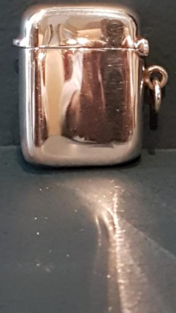 Edwardian Silver Cat Motif Vesta Case - Image 3