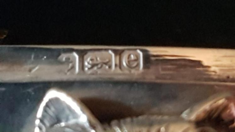 Edwardian Silver Cat Motif Vesta Case - Image 6