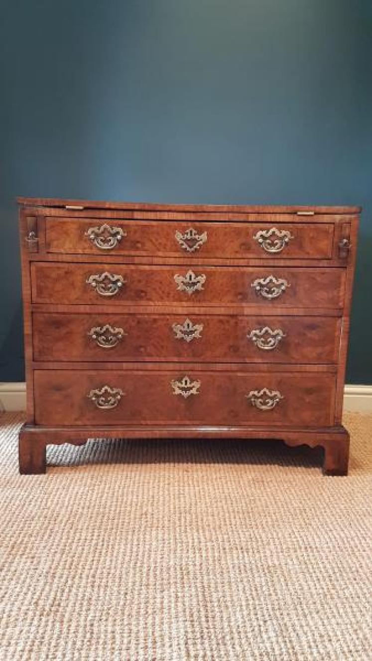 Fine Quality George III Bachelor's Chest - Image 2