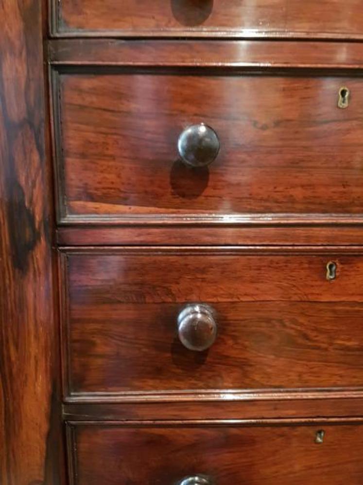 Fine Quality Early Victorian Wellington Chest - Image 3
