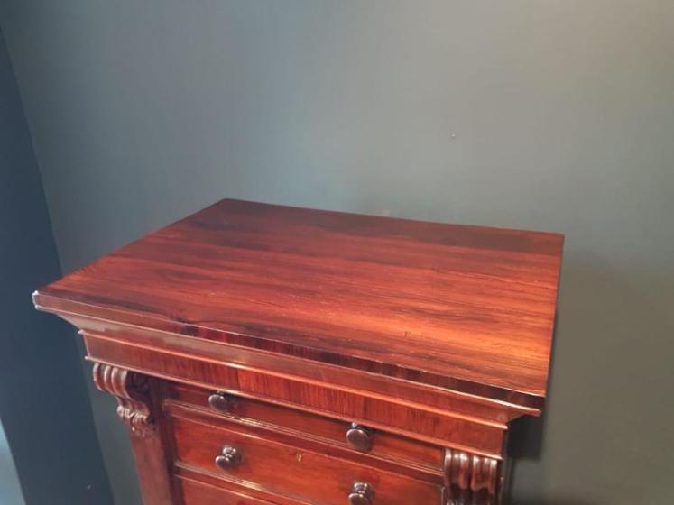 Fine Quality Early Victorian Wellington Chest - Image 4