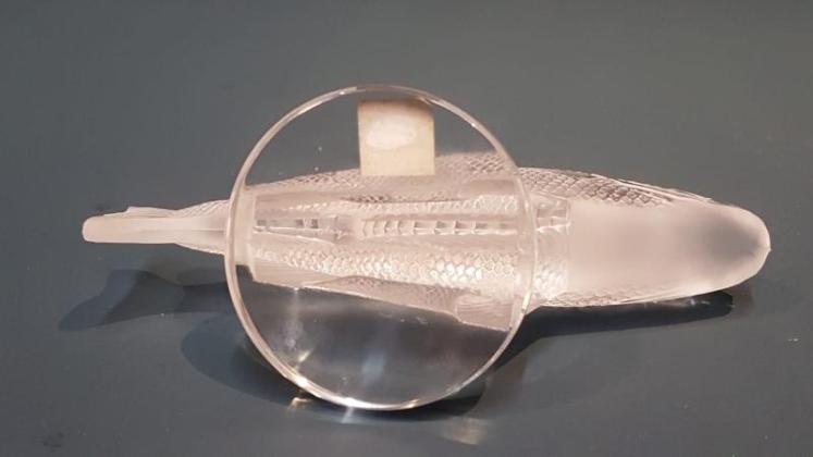 Lalique Fish - Image 4