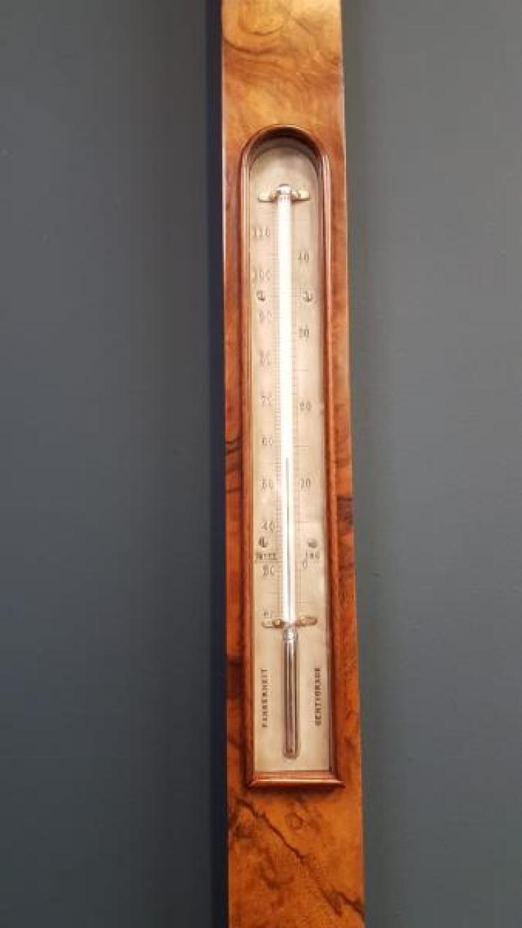 Victorian Burr Walnut Stick Barometer - Image 4