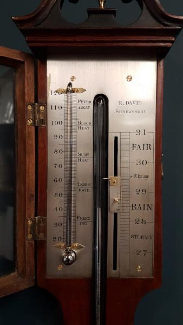 Regency Mahogany Stick Barometer  - Image 2