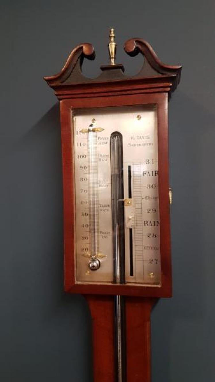 Regency Mahogany Stick Barometer  - Image 6