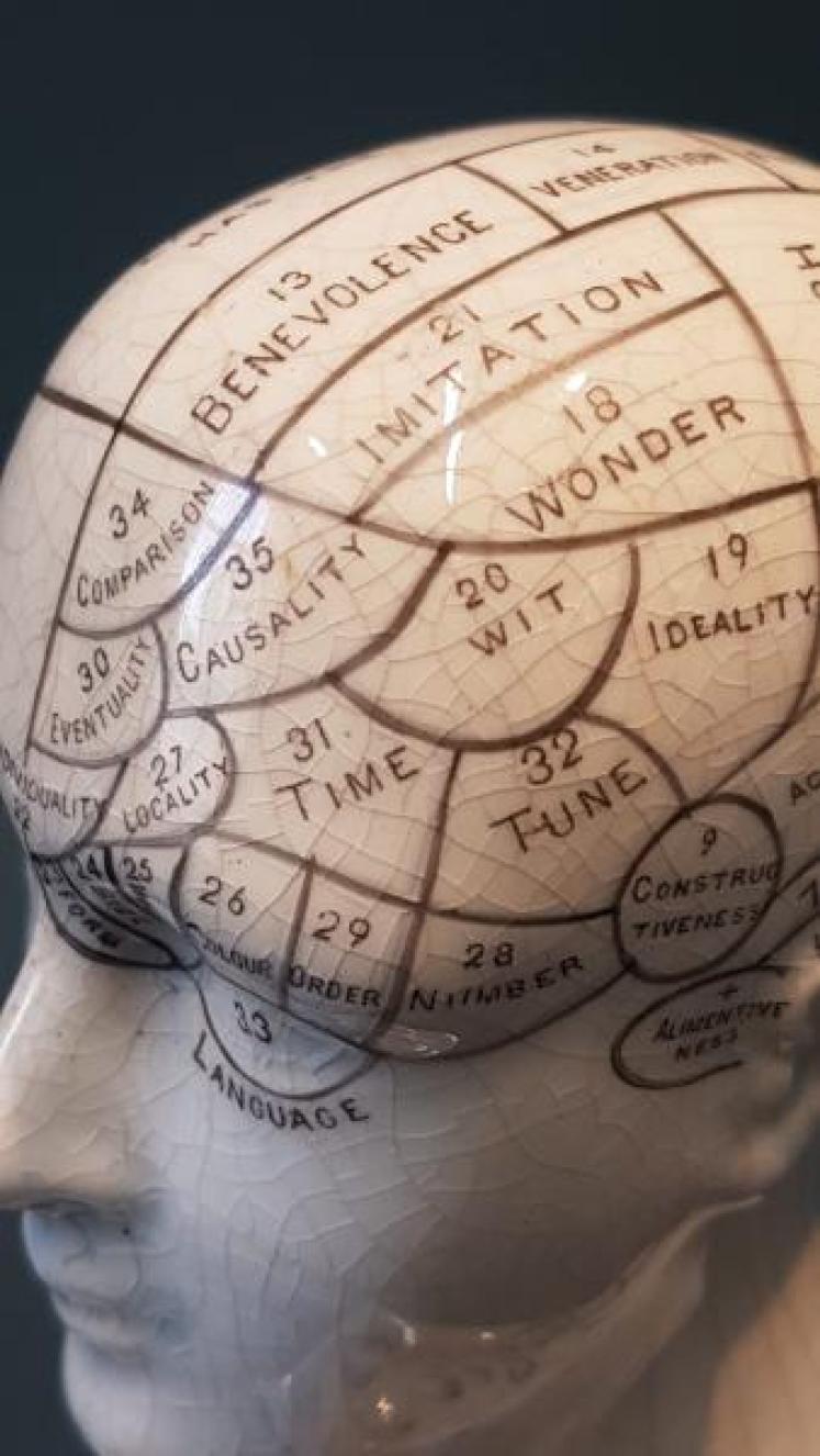Victorian Bridges Phrenology Head Pen & Ink Stand  - Image 7