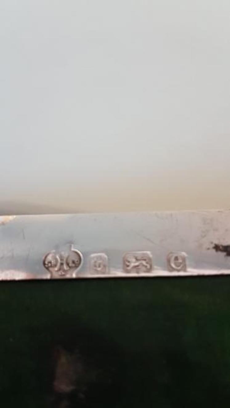 Silver Pin Cushion and Needle Box - Image 6