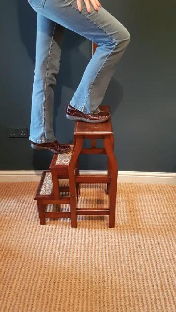 Victorian Mahogany Folding Library Steps - Image 7