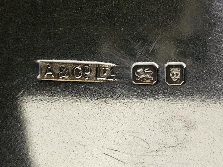 Aspreys Silver & Lizard Skin Top Powder Jar - Image 3
