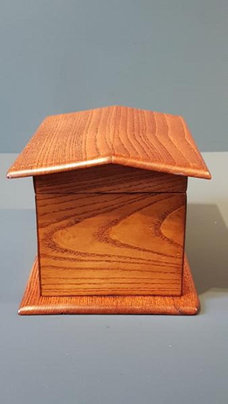 Rare Victorian Bulldog in Kennel Ash Tea Caddy  - Image 3