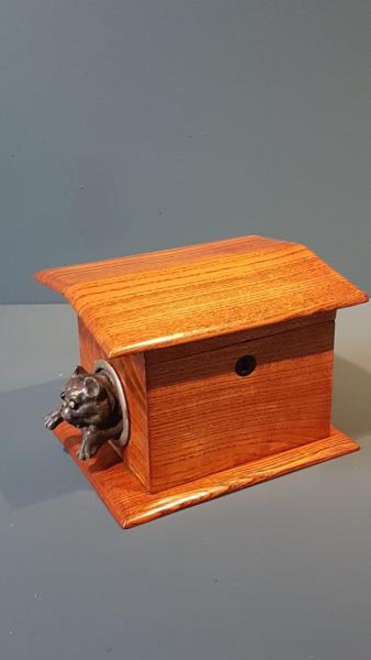 Rare Victorian Bulldog in Kennel Ash Tea Caddy  - Image 4