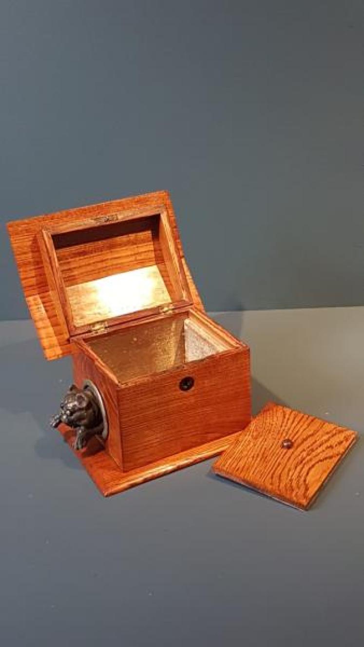 Rare Victorian Bulldog in Kennel Ash Tea Caddy  - Image 5