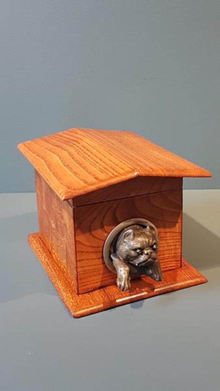 Rare Victorian Bulldog in Kennel Ash Tea Caddy  - Image 6