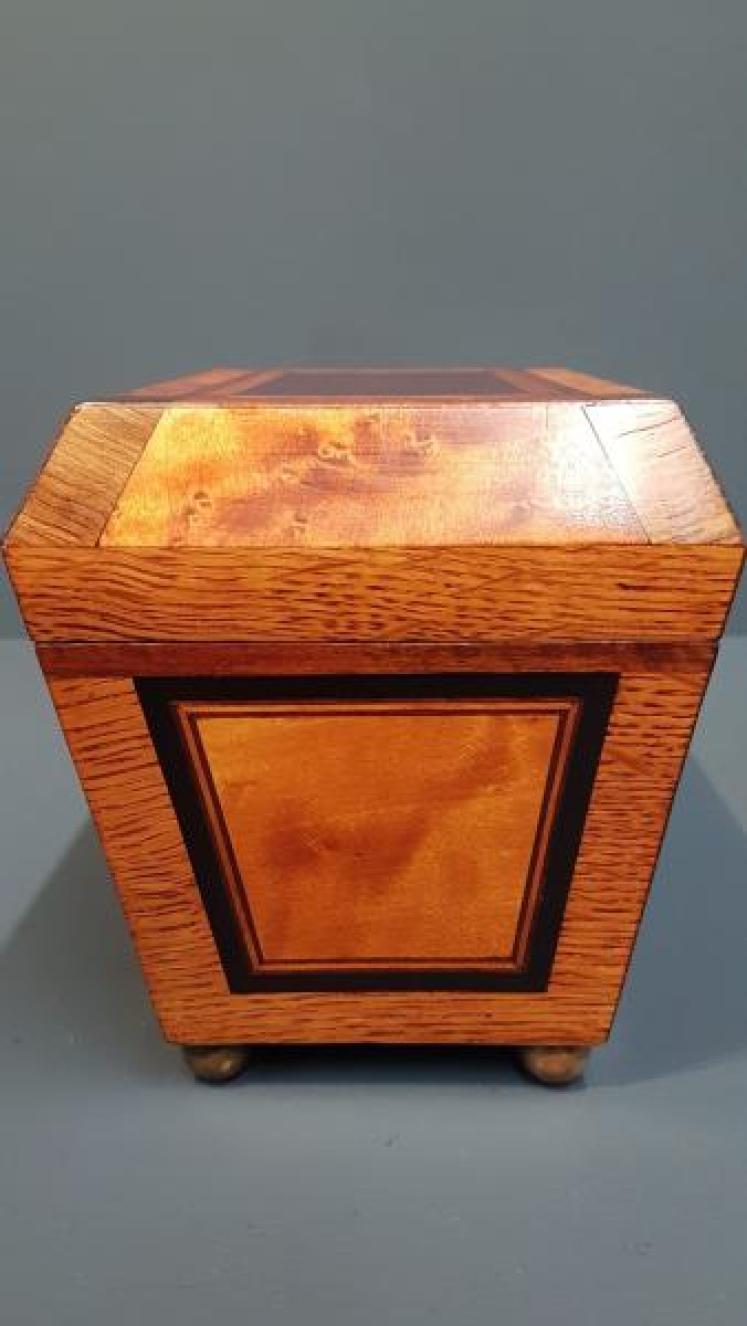 Regency Oak, Satinwood and Mahogany Tea Caddy - Image 3