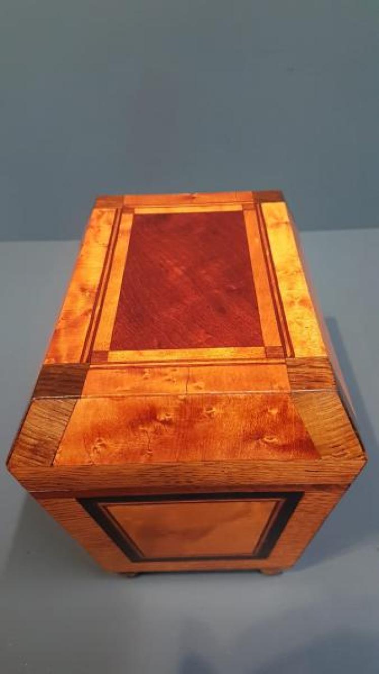 Regency Oak, Satinwood and Mahogany Tea Caddy - Image 4