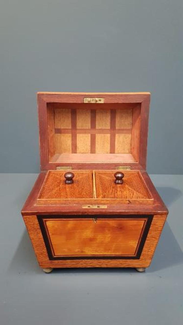 Regency Oak, Satinwood and Mahogany Tea Caddy - Image 6